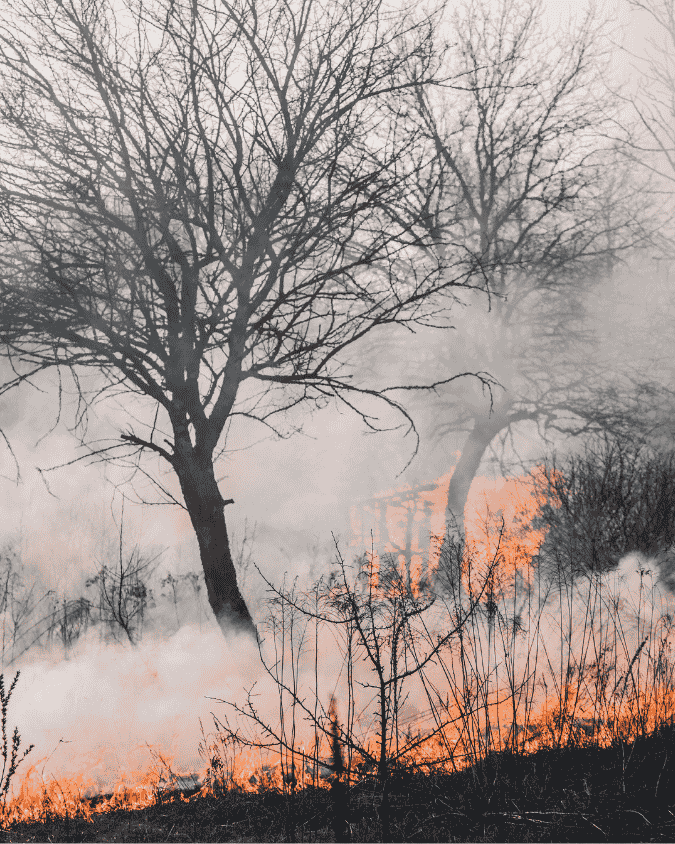 business storage Melbourne