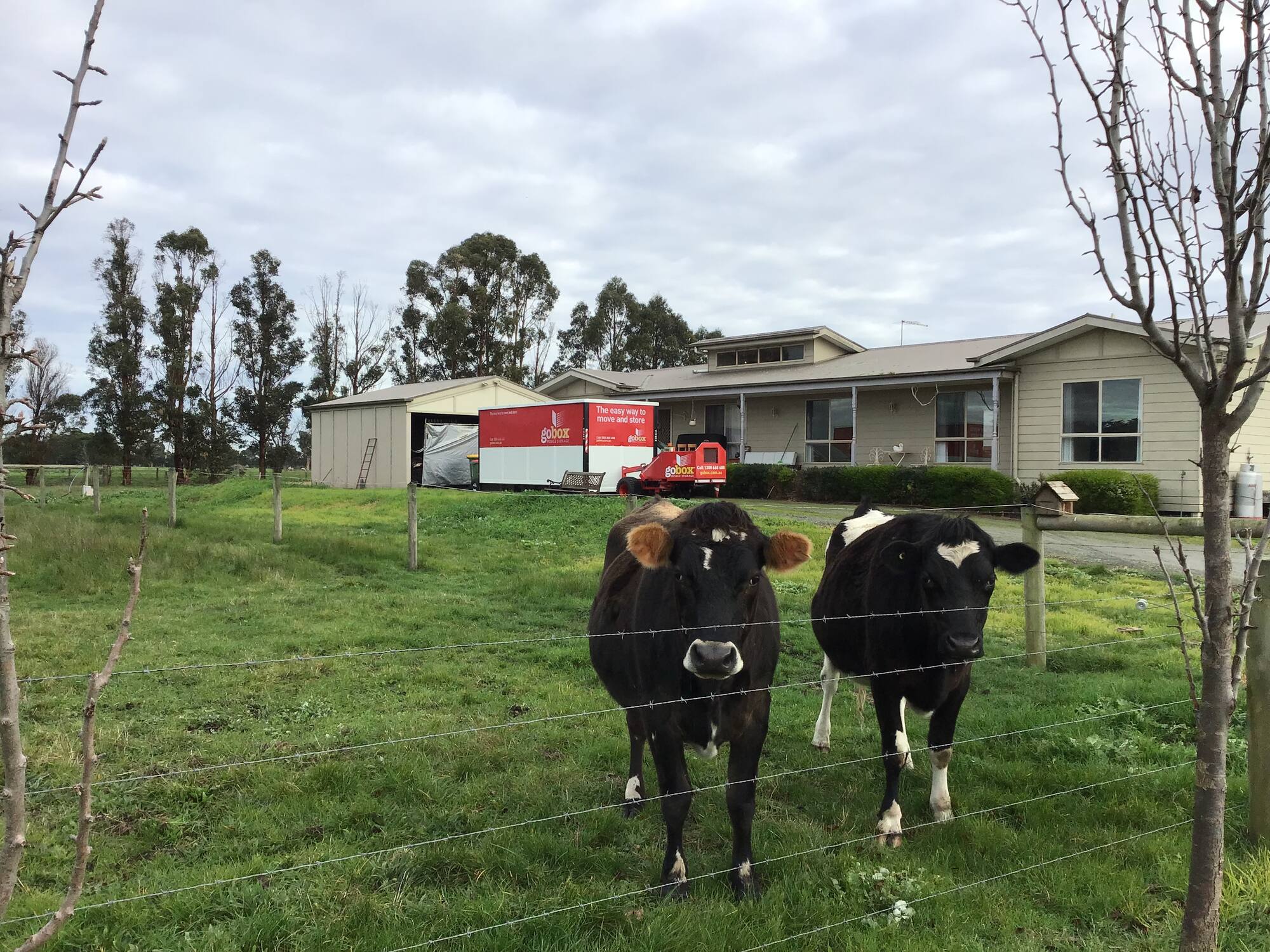 gobox unit at a country home with cows in the front paddock